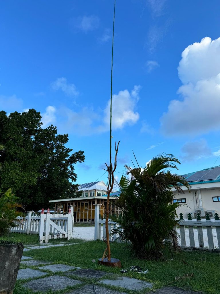 20-meter vertical in Tuvalu