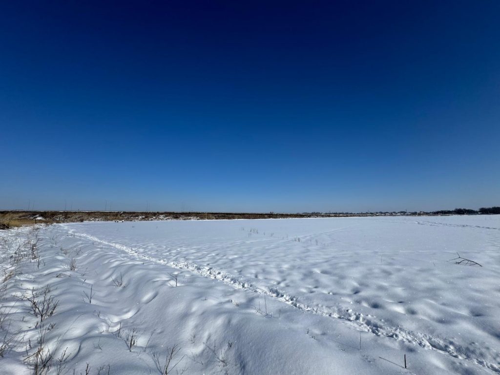 Very bright steppe