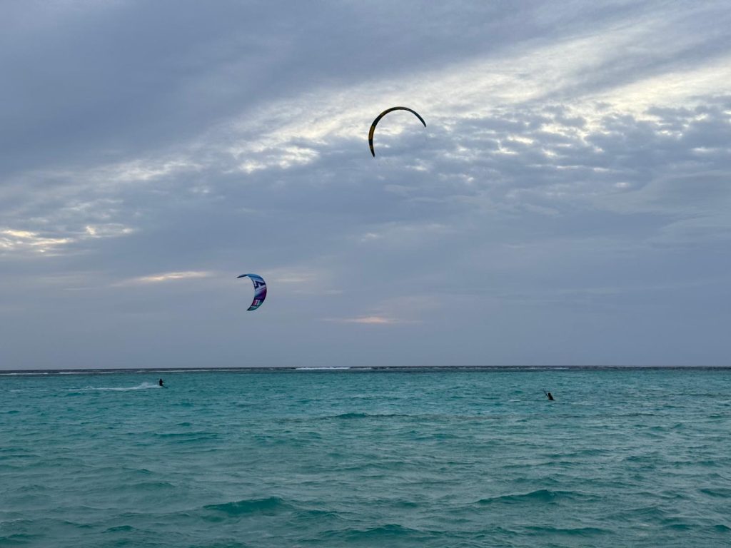 Kites