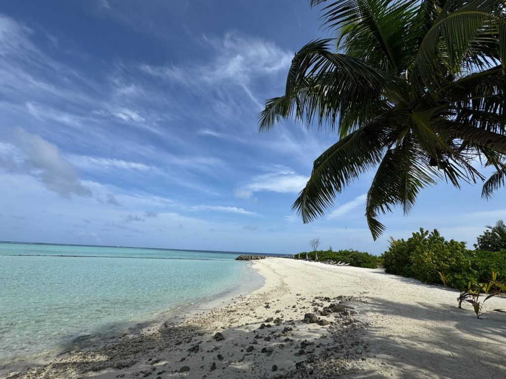 The last day in a paradise
