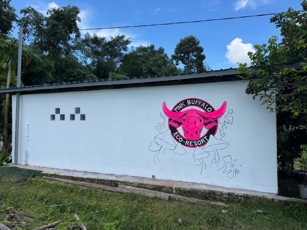 Wall painting and a new logo